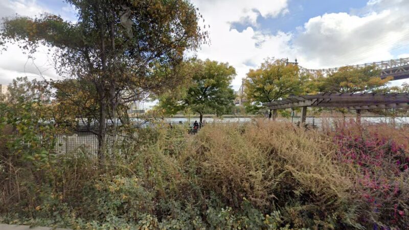 Monarch Waystation - New York, NY