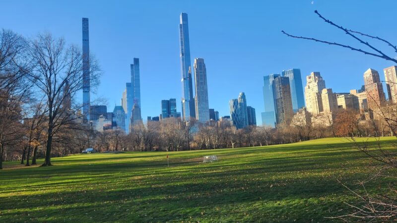 Nell Singer Lilac Walk - New York, NY