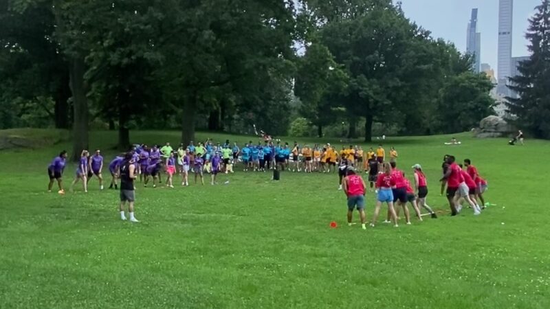 Nell Singer Lilac Walk - New York, NY