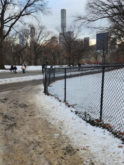 Nell Singer Lilac Walk - New York, NY