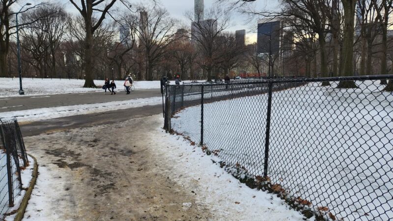 Nell Singer Lilac Walk - New York, NY