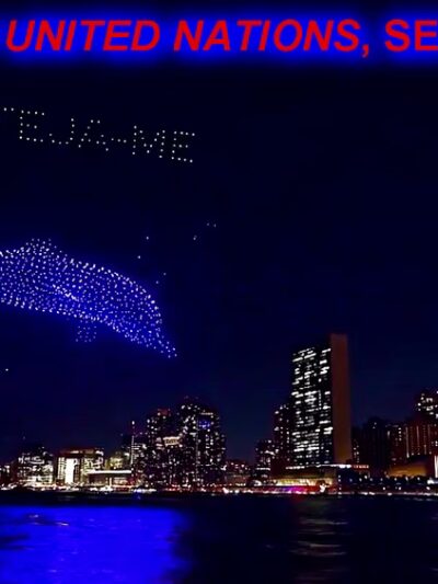 New Wave Pier - New York, NY