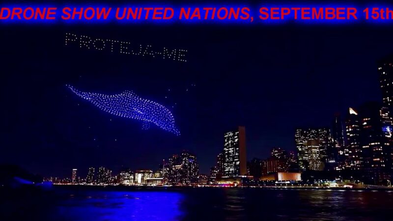 New Wave Pier - New York, NY