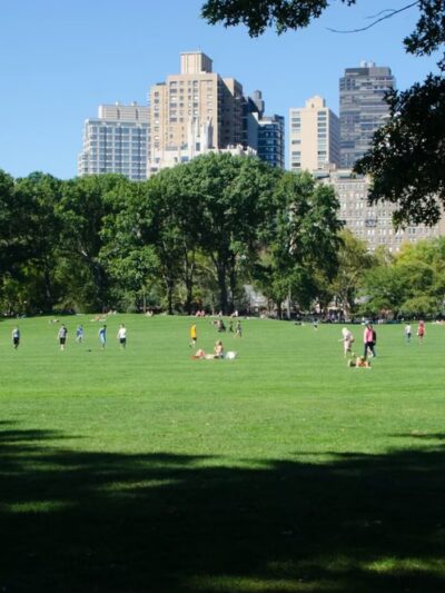 North Meadow - New York, NY