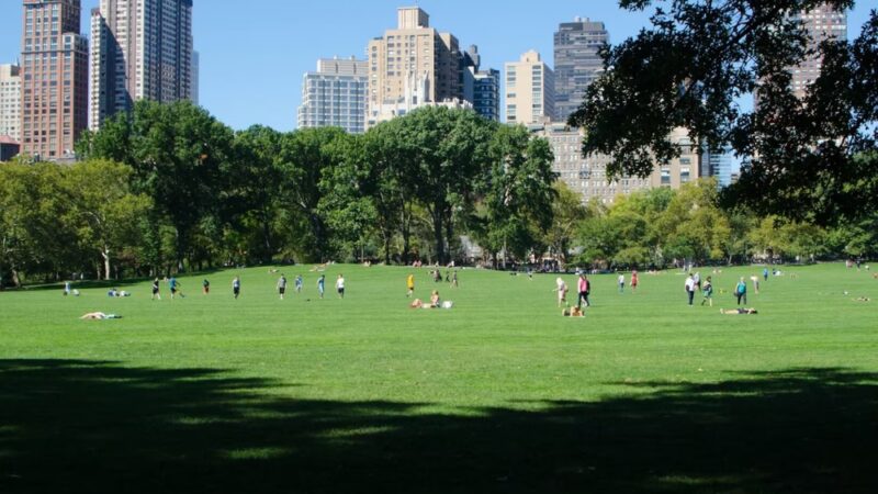 North Meadow - New York, NY