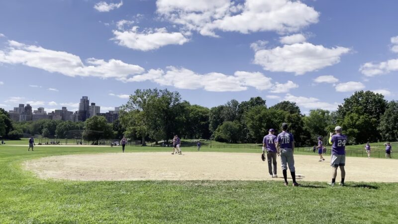 North Meadow - New York, NY