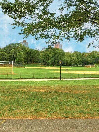 North Meadow - New York, NY