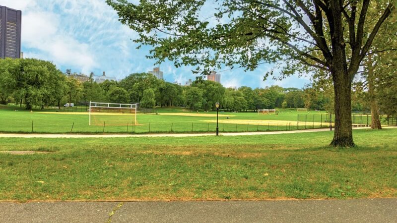 North Meadow - New York, NY