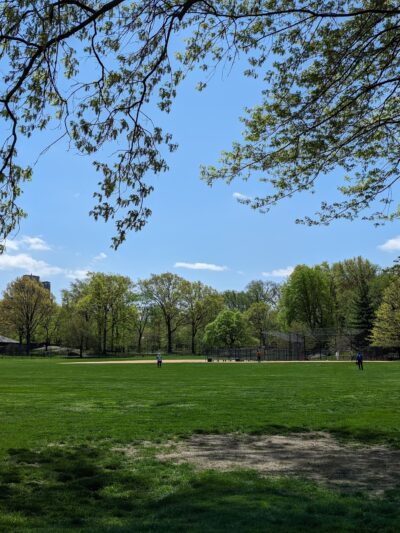 North Meadow - New York, NY