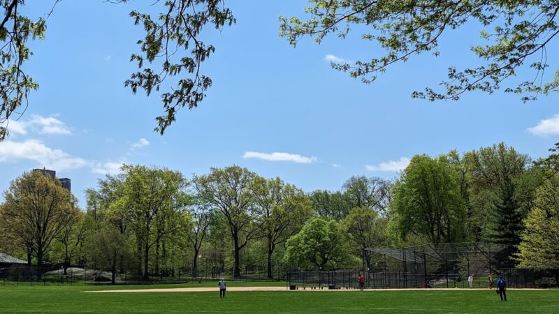 North Meadow - New York, NY