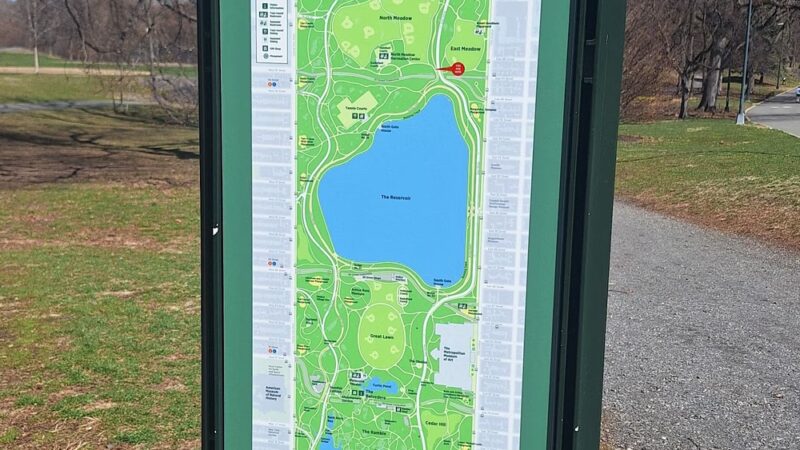 North Meadow - New York, NY