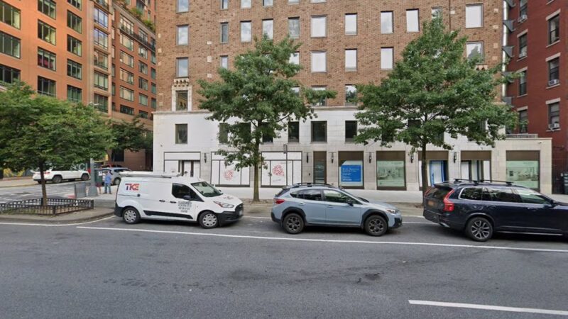 NYC Dog Walker By Petaholics - New York, NY