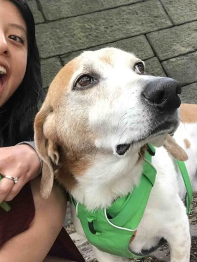 NYC POOCH - New York, NY