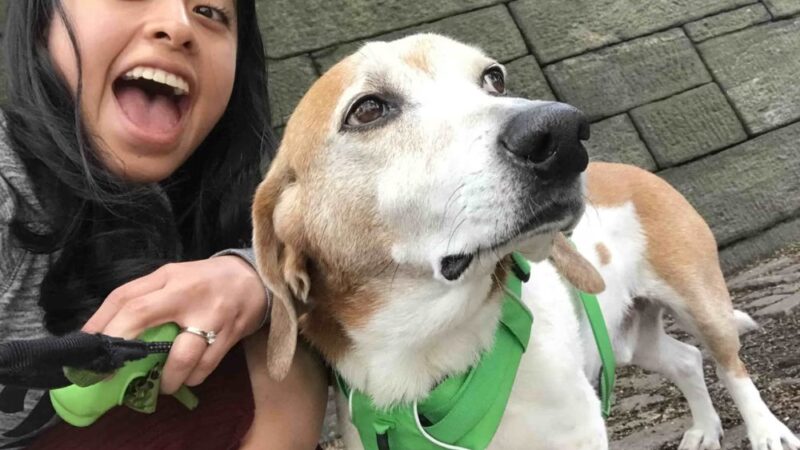 NYC POOCH - New York, NY