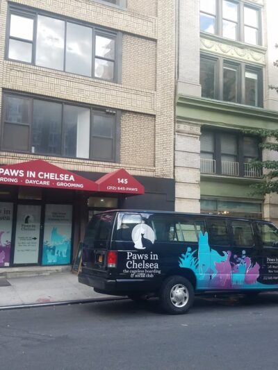 Paws In Chelsea - New York, NY