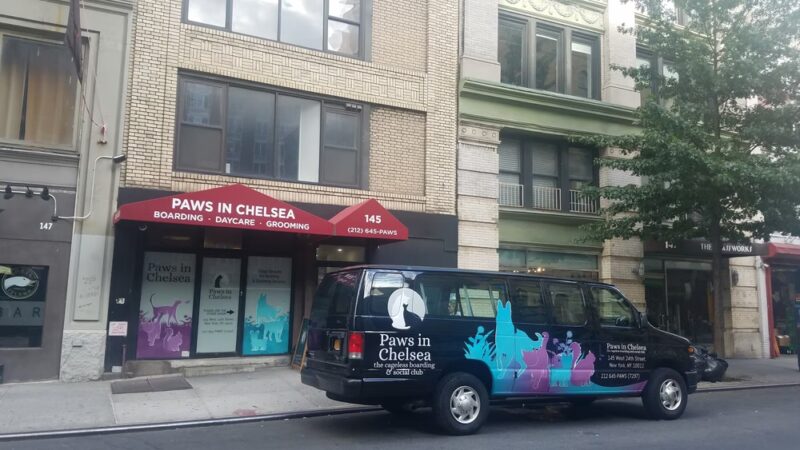 Paws In Chelsea - New York, NY