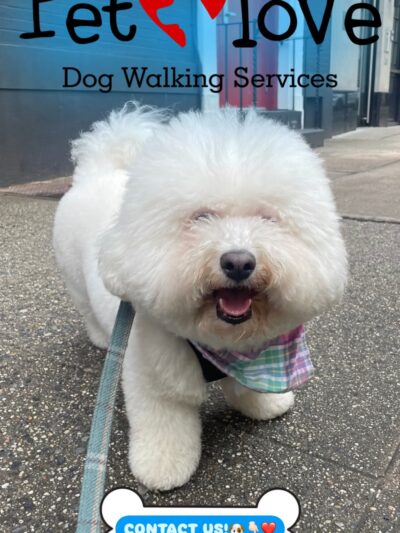 Pet Love NYC - New York, NY