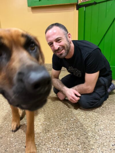 PJH Dog Training - New York, NY