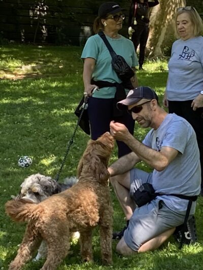 PJH Dog Training - New York, NY