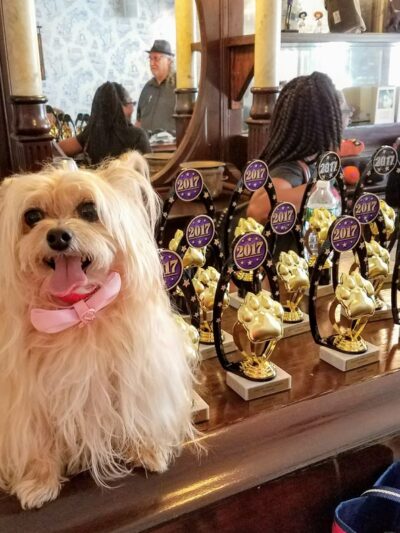 Ruff Club Dog Daycare & Grooming - New York, NY