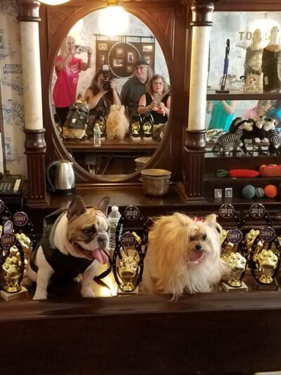 Ruff Club Dog Daycare & Grooming - New York, NY