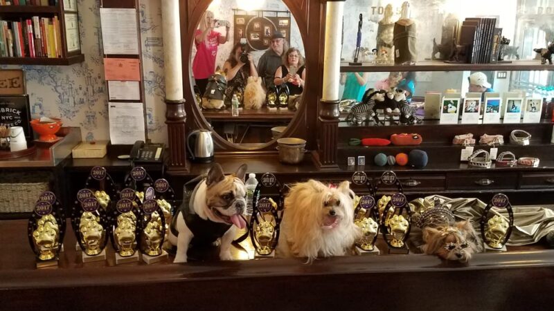 Ruff Club Dog Daycare & Grooming - New York, NY