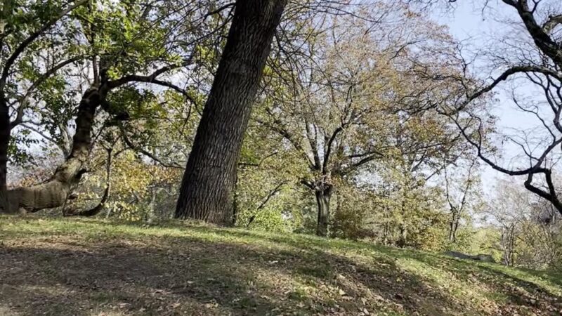 Summit Rock - New York, NY