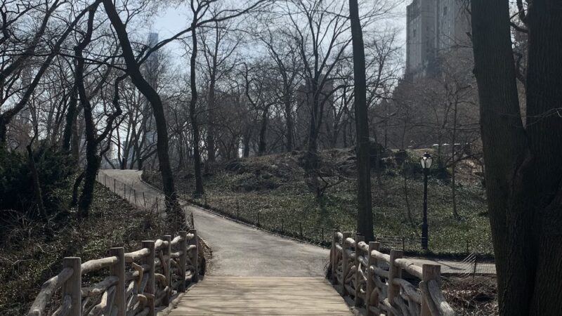 Summit Rock - New York, NY