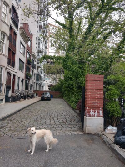 Sutton Place Park North - New York, NY