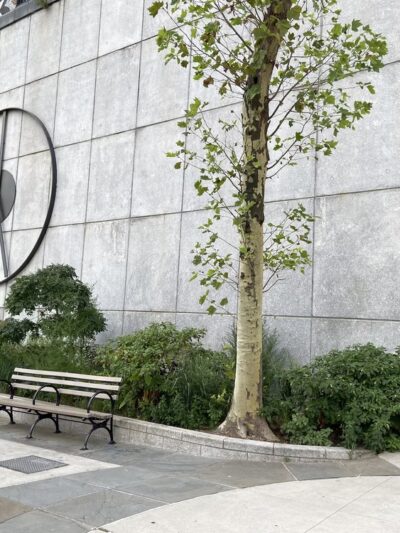 Trygve Lie Plaza - New York, NY