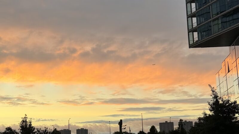 Waterline Square Park - New York, NY