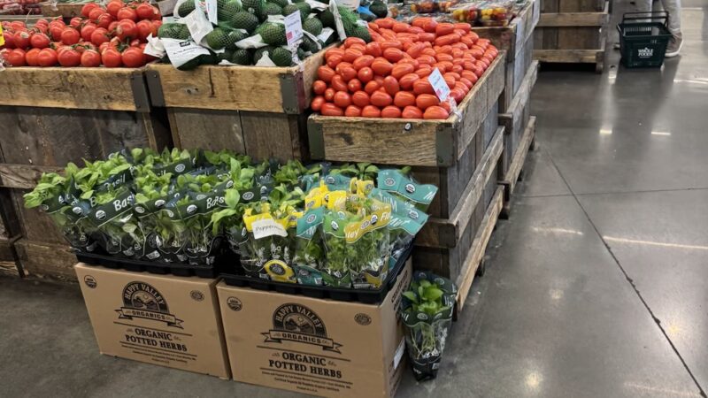 Whole Foods Market - New York, NY