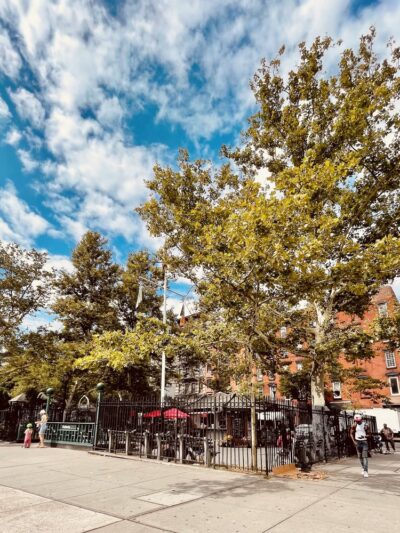 First Park - New York, NY