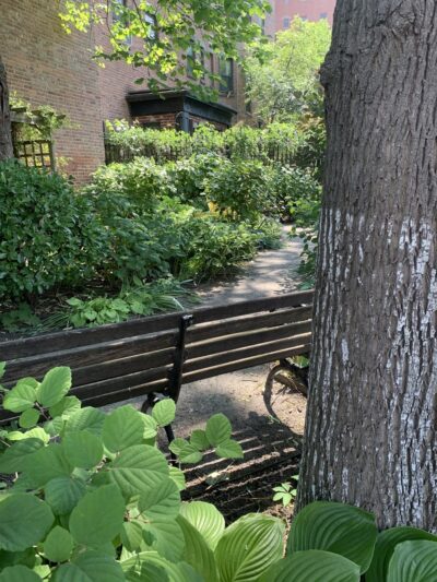 Juan Alonso - New York, NY