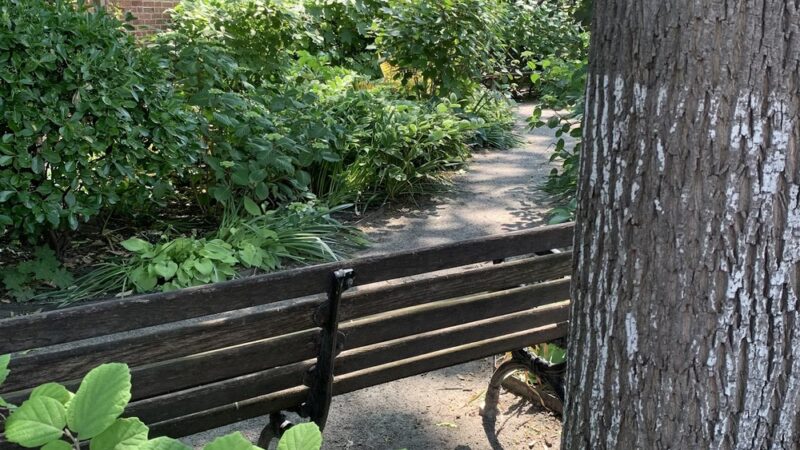 Juan Alonso - New York, NY