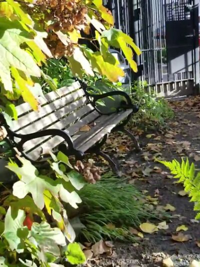 Juan Alonso - New York, NY