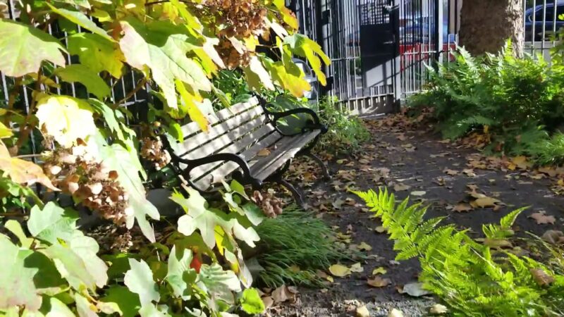 Juan Alonso - New York, NY