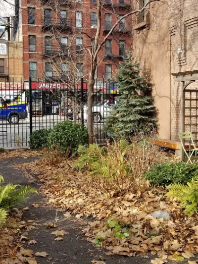 Juan Alonso - New York, NY