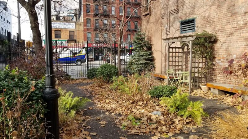 Juan Alonso - New York, NY