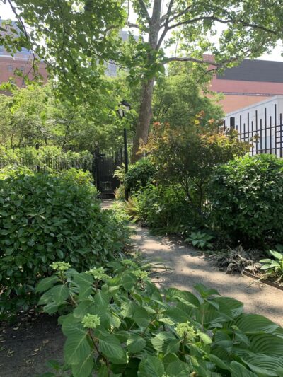 Juan Alonso - New York, NY