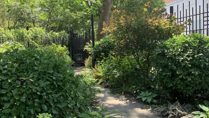 Juan Alonso - New York, NY