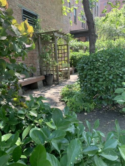 Juan Alonso - New York, NY