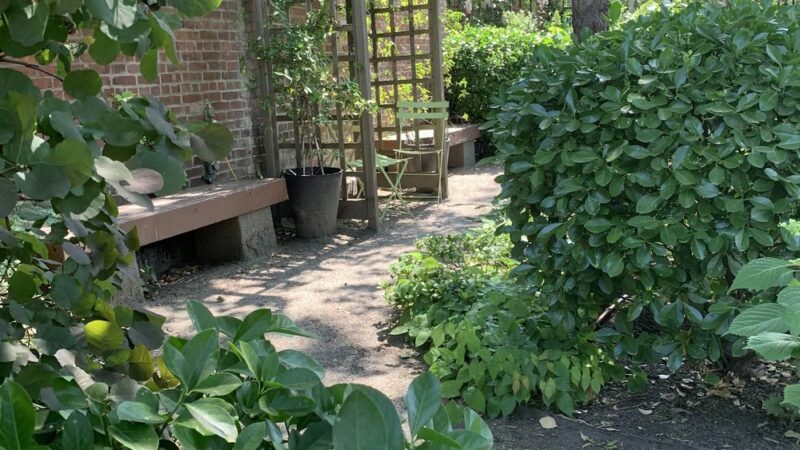 Juan Alonso - New York, NY