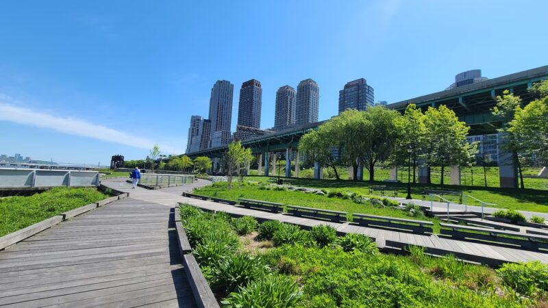 Linda's Lawn - New York, NY