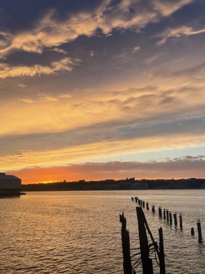 Locomotive Lawn - New York, NY