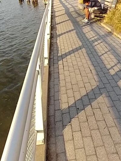 Locomotive Lawn - New York, NY