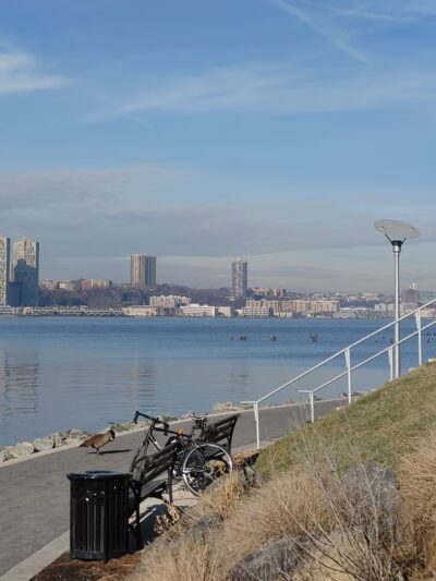 Locomotive Lawn - New York, NY