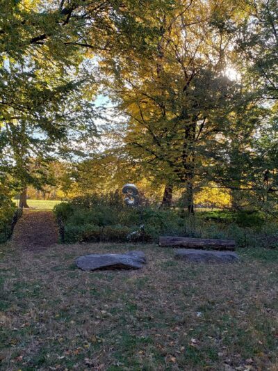 Peter J. Sharp Children's Glade - New York, NY