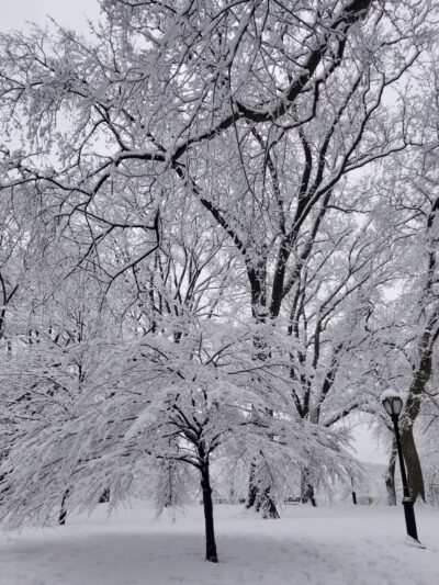 Peter J. Sharp Children's Glade - New York, NY