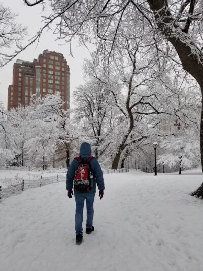 Peter J. Sharp Children's Glade - New York, NY